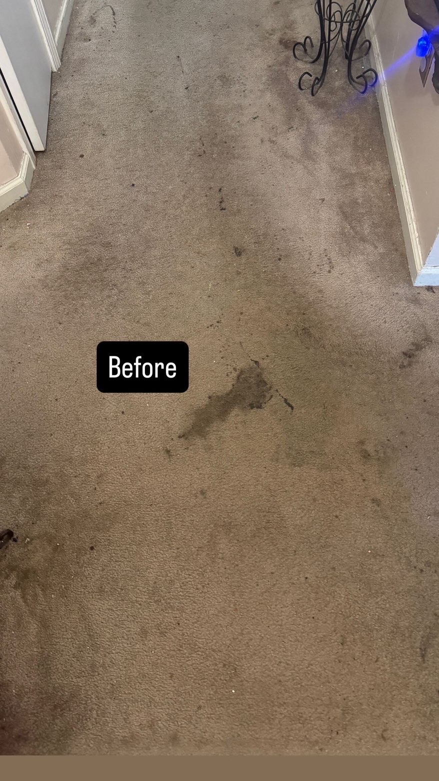 Before Hallway Carpet Restoration